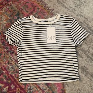 Zara navy stripe crop top